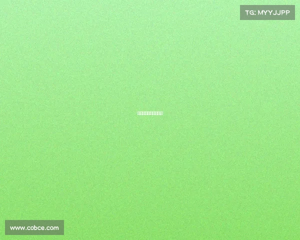 菲戈巅峰在哪个俱乐部